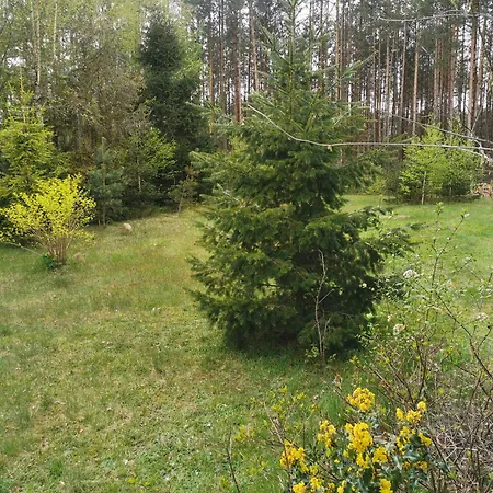 Lesne Wspomnienia Ferienhaus *