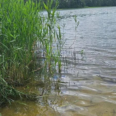 Hébergement de vacances Lesne Wspomnienia *