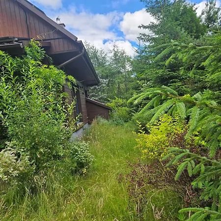 Lesne Wspomnienia * Niesiolowice