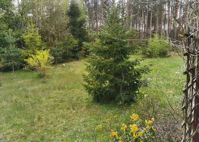 Leśne Wspomnienia Dom wakacyjny *