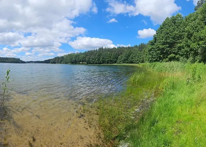 Dom wakacyjny Leśne Wspomnienia *