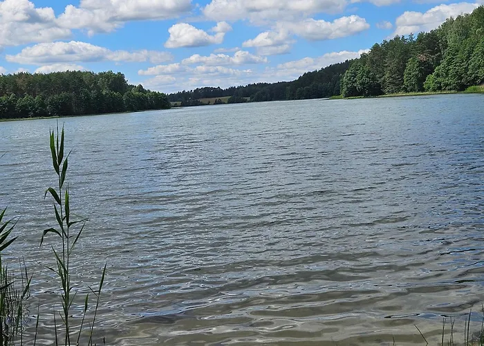 Dom wakacyjny Leśne Wspomnienia Niesiolowice