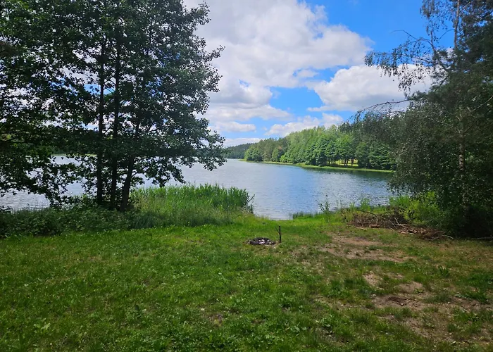 Dom wakacyjny Leśne Wspomnienia *