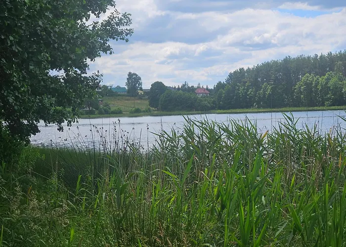 Leśne Wspomnienia *